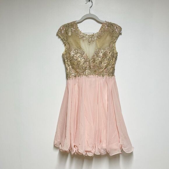 Cinderella Devine Pink Blush Short Embellished A line Chiffon Dress Sz 6 - Picture 3 of 7